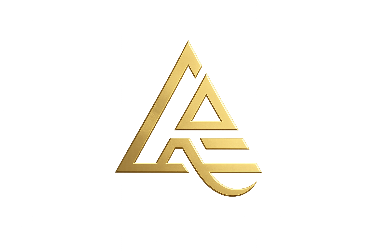 The Academy of Excellence